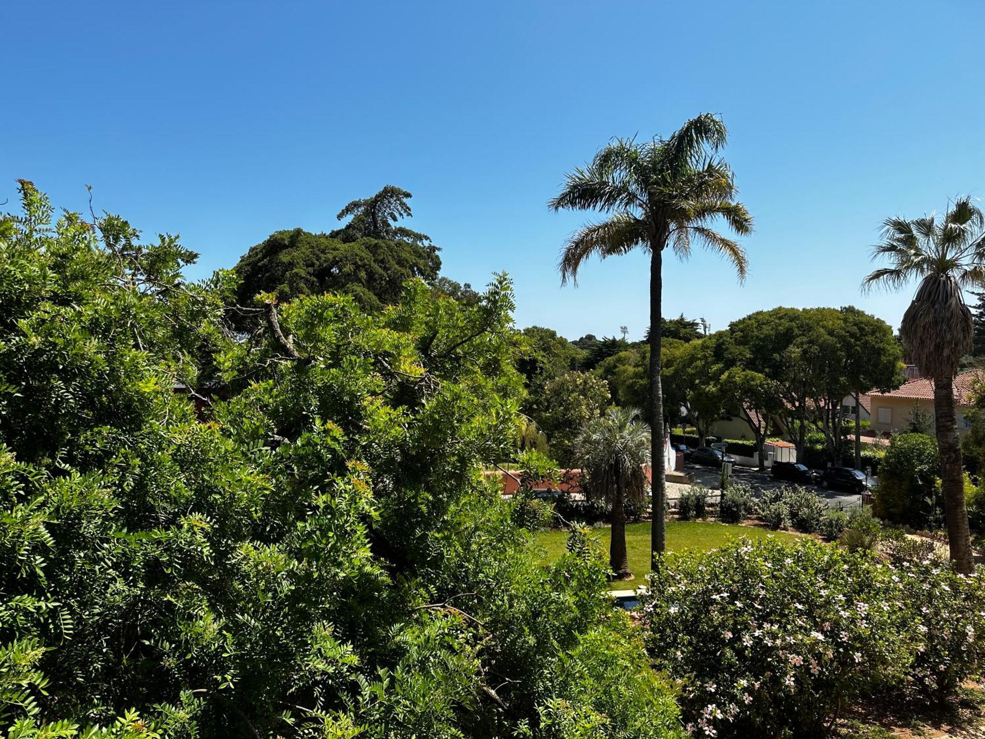 Chalet Ficalho Cascais Eksteriør billede